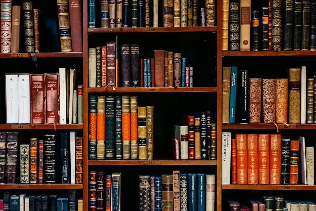 Bücher stehen in einem ruhigen Regal einer Bibliothek