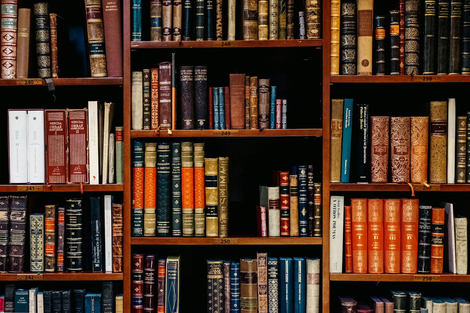 Bücher stehen in einem ruhigen Regal einer Bibliothek