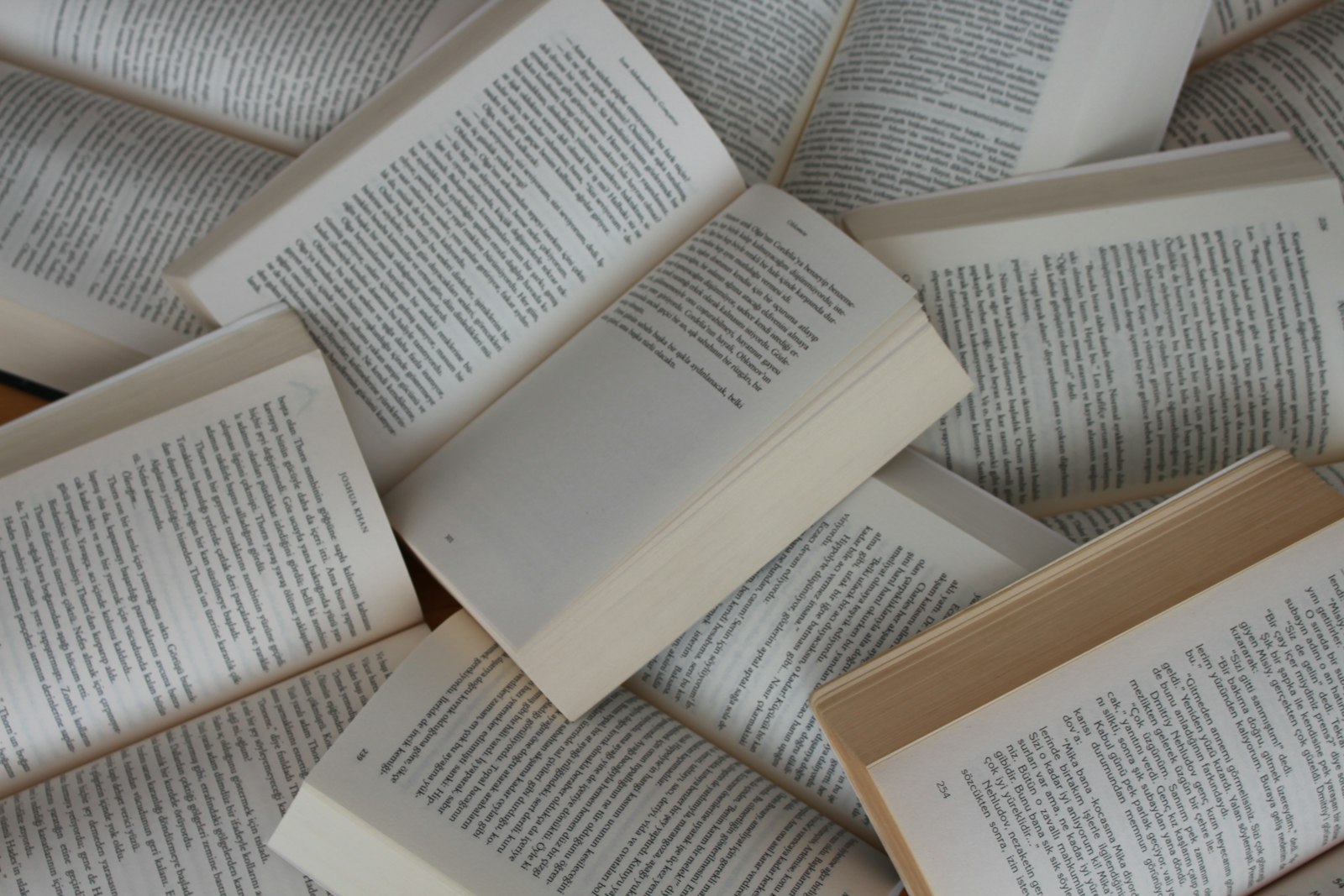 Bücherregale in einer Bibliothek als Symbol für den Erhalt regionaler Sprachen